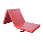 High Quality Customizable Folding Gymnastics Mats,Exercise Mat,Yoga Mat