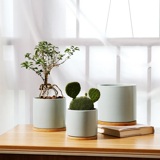 Hot Sale Manufacturer 8 colors Succulent Plant Pot 3sets Ceramic Flower Pot For Plant, Customized color
Hot Sale Manufacturer 8 colors Succulent Plant Pot 3sets Ceramic Flower Pot For Plant, Customized color