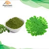 /product-detail/factory-supply-organic-oil-extraction-machine-freeze-dried-moringa-leaf-powder-supplier-in-dubai-us-uk-singapore-62349430142.html