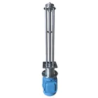 Chinese Supplier Quality Detergent Body Gel Shear Granulator Mixer High Shear