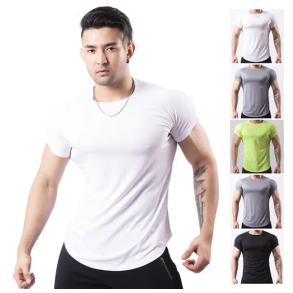 short sleeve quick dry mesh bird eye fabirc custom graphic gym men t-shirts long line designer t shirt famous brands for men
short sleeve quick dry mesh bird eye fabirc custom graphic gym men t-shirts long line designer t shirt famous brands for men