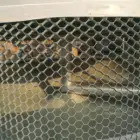 Pvc Mesh Factory Supply New Product PVC Mesh Cooling Tower Air Inlet Net Fence