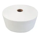 Polypropylene Cloth 30gsm Polypropylene PP Nonwoven Filter Melt-blown Cloth Melt Blown Fabric
