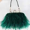 /product-detail/hot-sale-fashion-ostrich-feather-lady-the-party-handbags-with-metal-chain-62228275934.html