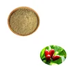/product-detail/factory-price-miracle-fruit-synsepalum-dulcificum-extract-by-free-shipping-10-1-62337139210.html