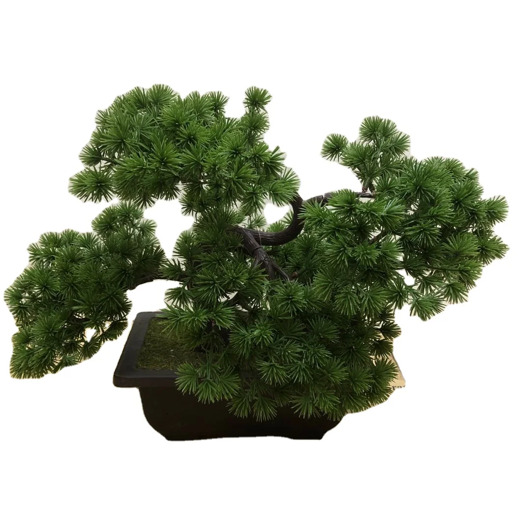 Wholesale home ornamental small artificial plant bonsai. New Wukesong bonsai, Customized
Wholesale home ornamental small artificial plant bonsai. New Wukesong bonsai, Customized