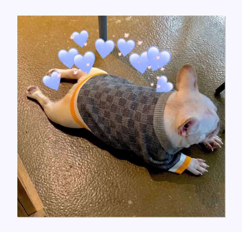 Luxury Brand Style Custom British Style Knitted Plaid Gentleman Pet Dog Sweater 
Luxury Brand Style Custom British Style Knitted Plaid Gentleman Pet Dog Sweater