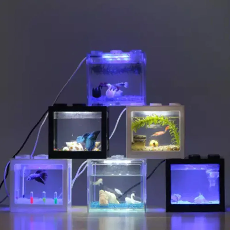 4 aquarium tank.jpg