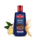 Shampoo Shampoo Series Shampoo Best Caffeine Shampoo For Hair Loss Infused With Ginseng And Ginger Oil Extract