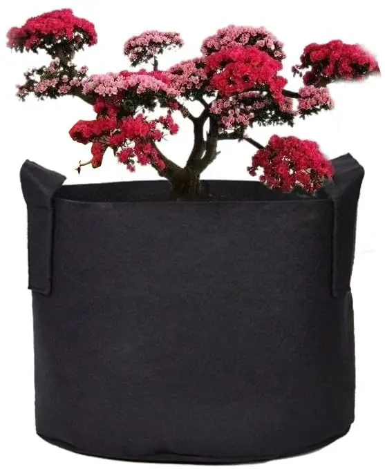 Felt Grow Bags 5 Gallon 10 Gallon 30 Gallon 65 Gallon 100 Gallon Non Woven Fabric Pots Felt Grow Pot 100 Gallon, Black
Felt Grow Bags 5 Gallon 10 Gallon 30 Gallon 65 Gallon 100 Gallon Non Woven Fabric Pots Felt Grow Pot 100 Gallon, Black