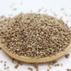 /product-detail/wholesale-industrial-hemp-seeds-for-fiber-and-oil-production-cannabis-sativa-ssp-sativa-seeds-62334945869.html