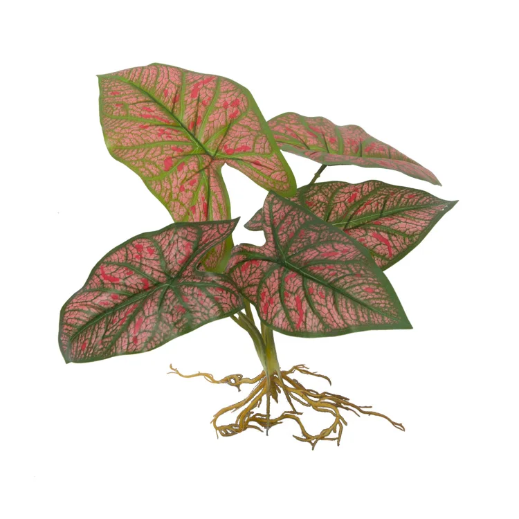 37 cm white red green taro leaf plastic cheap indoor decoration hydroponic plant artificial small plant Artificial tree
37 cm white red green taro leaf plastic cheap indoor decoration hydroponic plant artificial small plant Artificial tree