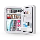 mini refrigerator for medicine storage