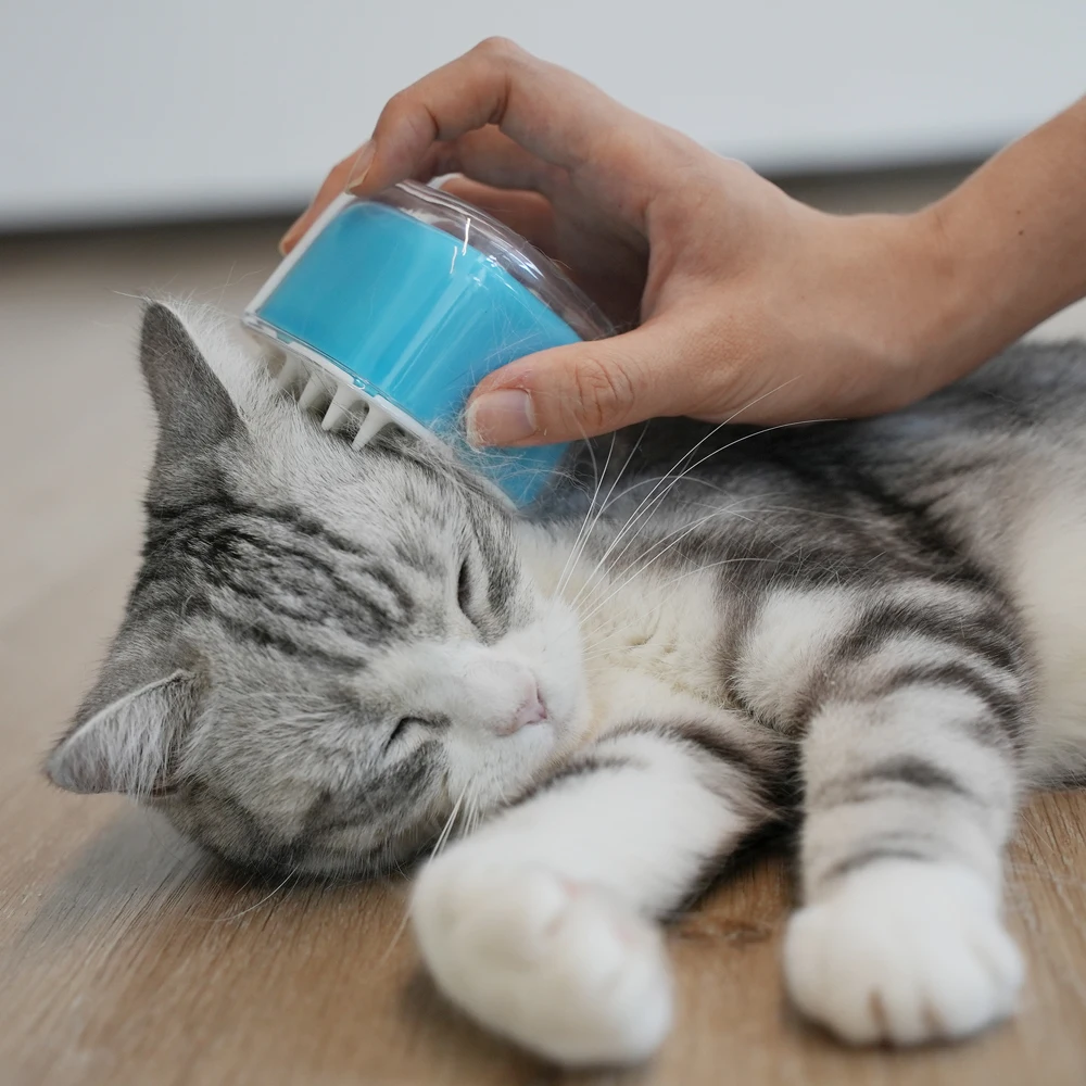 Cheerble 3 in 1 washable pet dog cat hair brush soft hair shampoo shower Pet Bath with Massage silicone comb grooming brush
Cheerble 3 in 1 washable pet dog cat hair brush soft hair shampoo shower Pet Bath with Massage silicone comb grooming brush