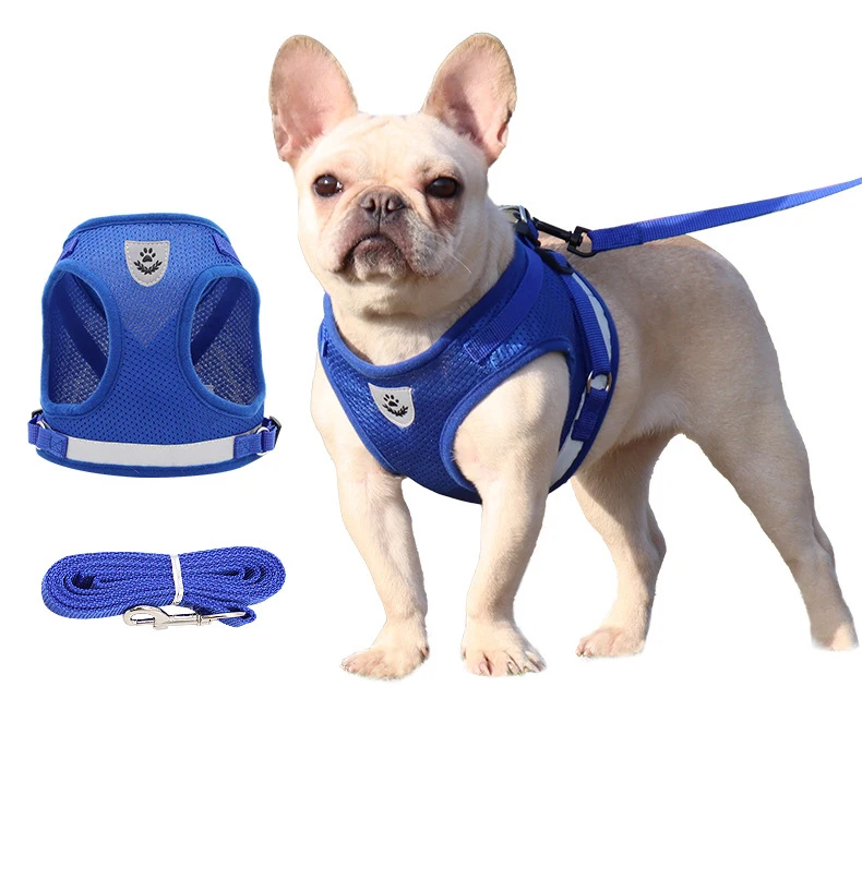New pet chest strap vest type dog traction rope outdoor walking dog reflective breathable dog rope pet products wholesale, Customized color
New pet chest strap vest type dog traction rope outdoor walking dog reflective breathable dog rope pet products wholesale, Customized color