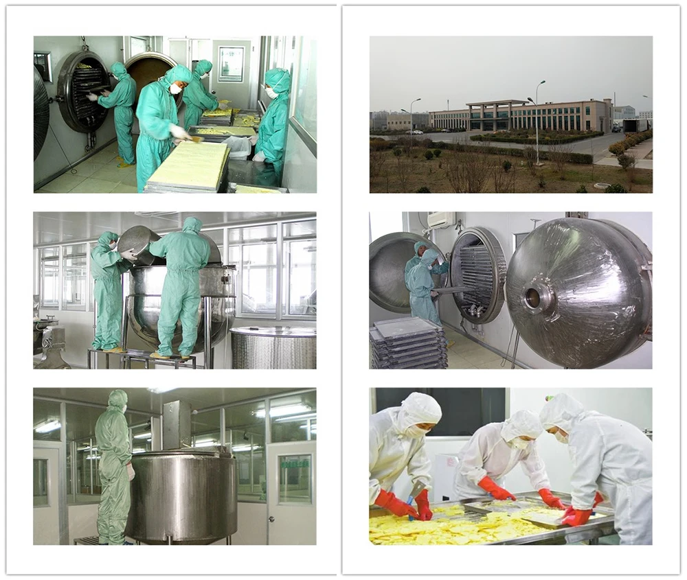 USDA pure organic fresh royal jelly good health gelle royal jelly for sale