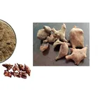 Powder Powder Industrial Grade Gallnut Extract Powder Tannic Acid 81%