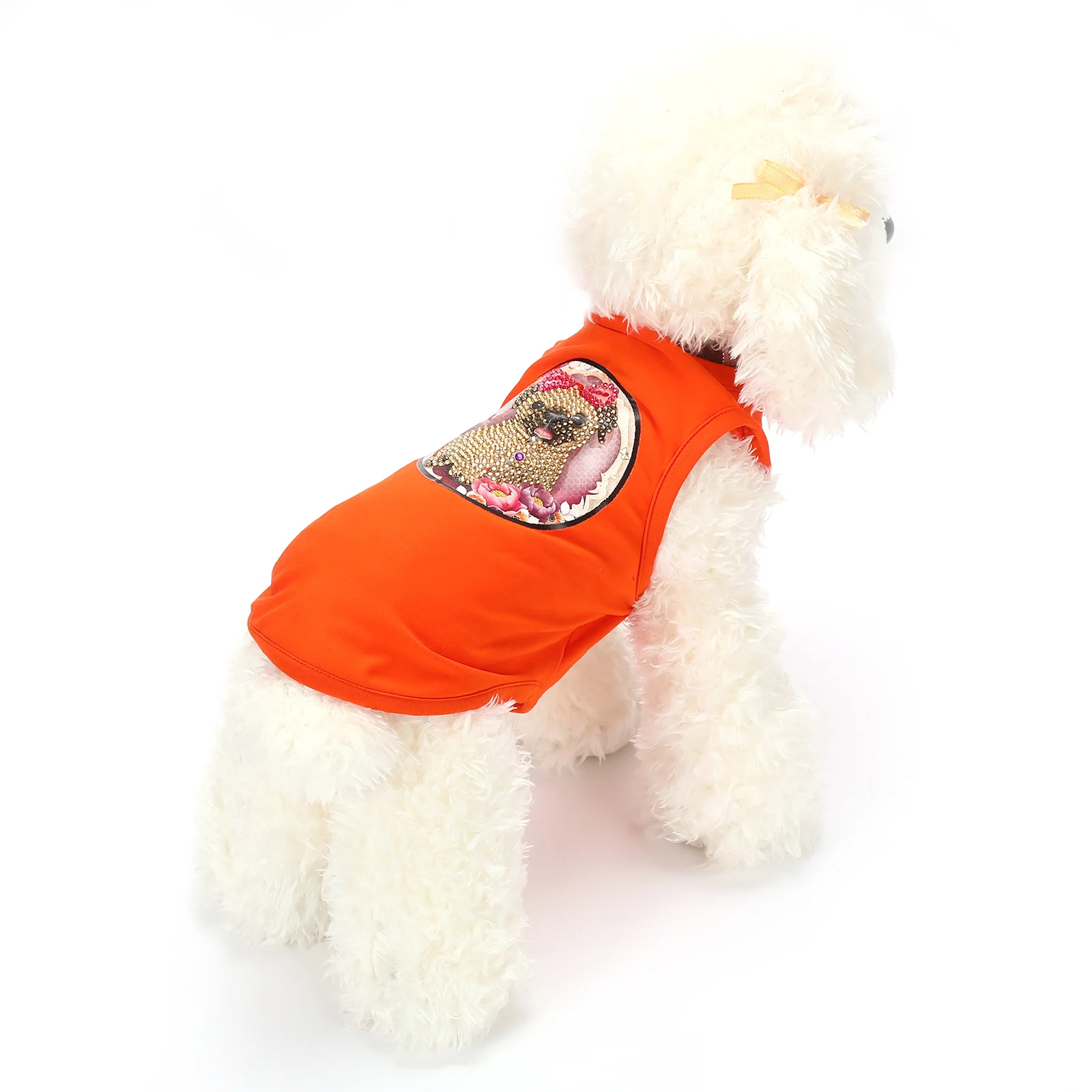 Pet Clothes High Sale Diamond Painting Dogs Cloth Soft Christmas for Dogs Pet Apparel & Accessories Coats, Jackets & Outerwears, Any
Pet Clothes High Sale Diamond Painting Dogs Cloth Soft Christmas for Dogs Pet Apparel & Accessories Coats, Jackets & Outerwears, Any