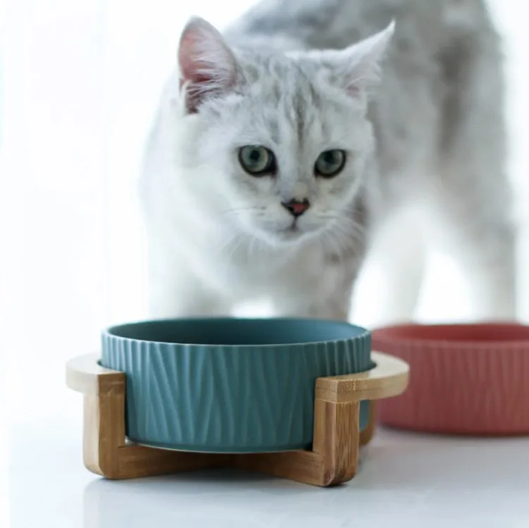 High Quality Elevated Ceramic Pet Cat bowl with Bamboo Stand, Wooden shelf Cat Dog Food Bowl Manufacturer Supplier Pet Products, Yellow, pink, white, green
High Quality Elevated Ceramic Pet Cat bowl with Bamboo Stand, Wooden shelf Cat Dog Food Bowl Manufacturer Supplier Pet Products, Yellow, pink, white, green