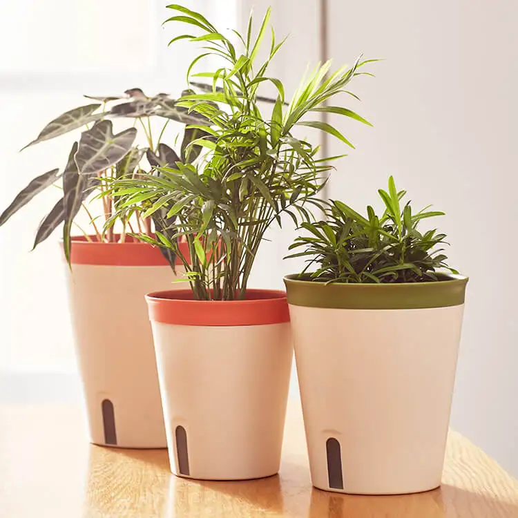 BRICE blomkrukor Home and Garden Automatic Watering Flower Pots Indoor and Outdoor Planters Plastic Flower Pots Simple Design
BRICE blomkrukor Home and Garden Automatic Watering Flower Pots Indoor and Outdoor Planters Plastic Flower Pots Simple Design