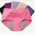 Breathable Panties Leak Proof Menstrual Pee Panties Women Underwear