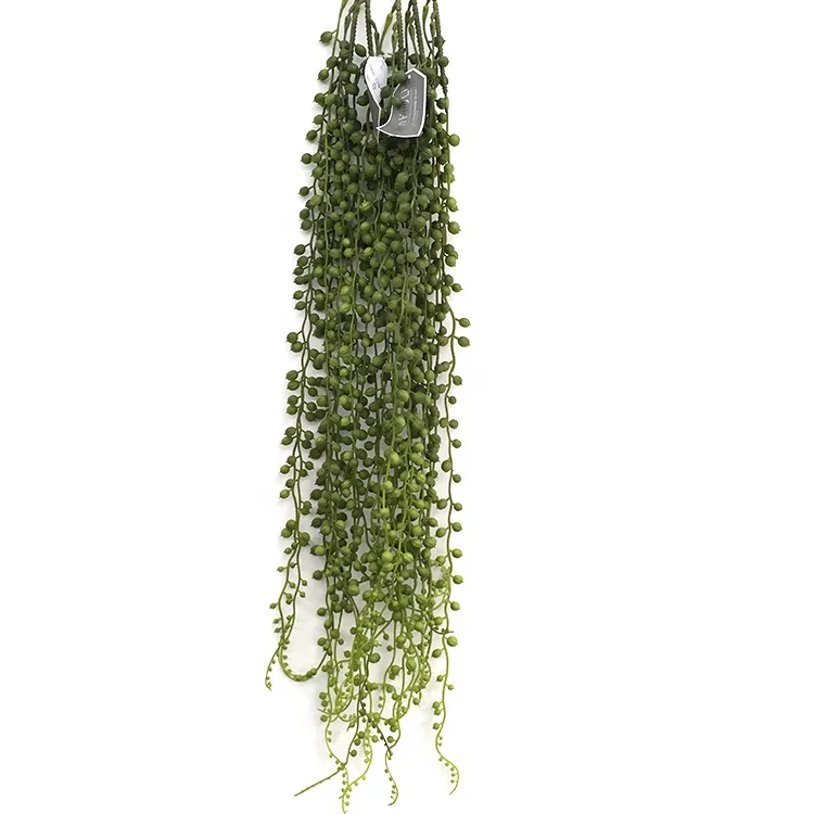 New single branch 5-fork spray transfer beads artificial plants wholesale, Customized
New single branch 5-fork spray transfer beads artificial plants wholesale, Customized