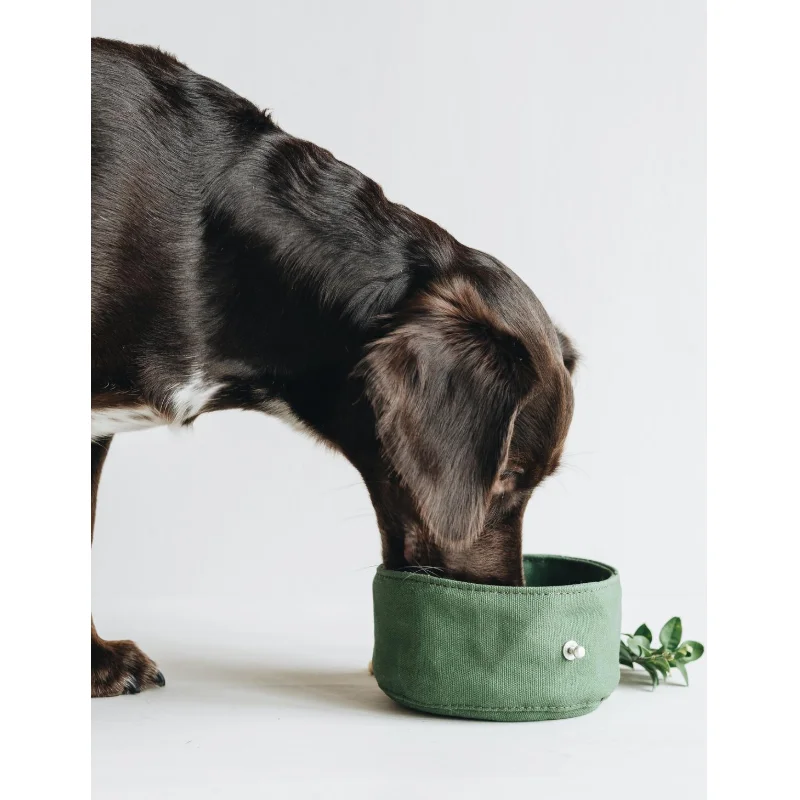 Waterproof Foldable Dog Bowl Waxed Canvas Pets Products Supplies Portable Collapsible Dog Travel Bowl, Green/grey/yellow/custom
Waterproof Foldable Dog Bowl Waxed Canvas Pets Products Supplies Portable Collapsible Dog Travel Bowl, Green/grey/yellow/custom