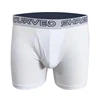/product-detail/2019-new-s-boxed-wholesale-men-s-ultra-soft-comfy-plus-size-panty-men-95-cotton-underwear-briefs-and-boxer-62417083635.html