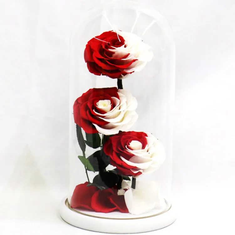 gifts for a girlfriend 3 roses glass dome everlasting flower