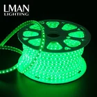 Rgb Rgb Strip Light Flexible Silicone Outline Decora SMD5050 Waterproof IP65 AC110V 220V Led RGB Strip Light