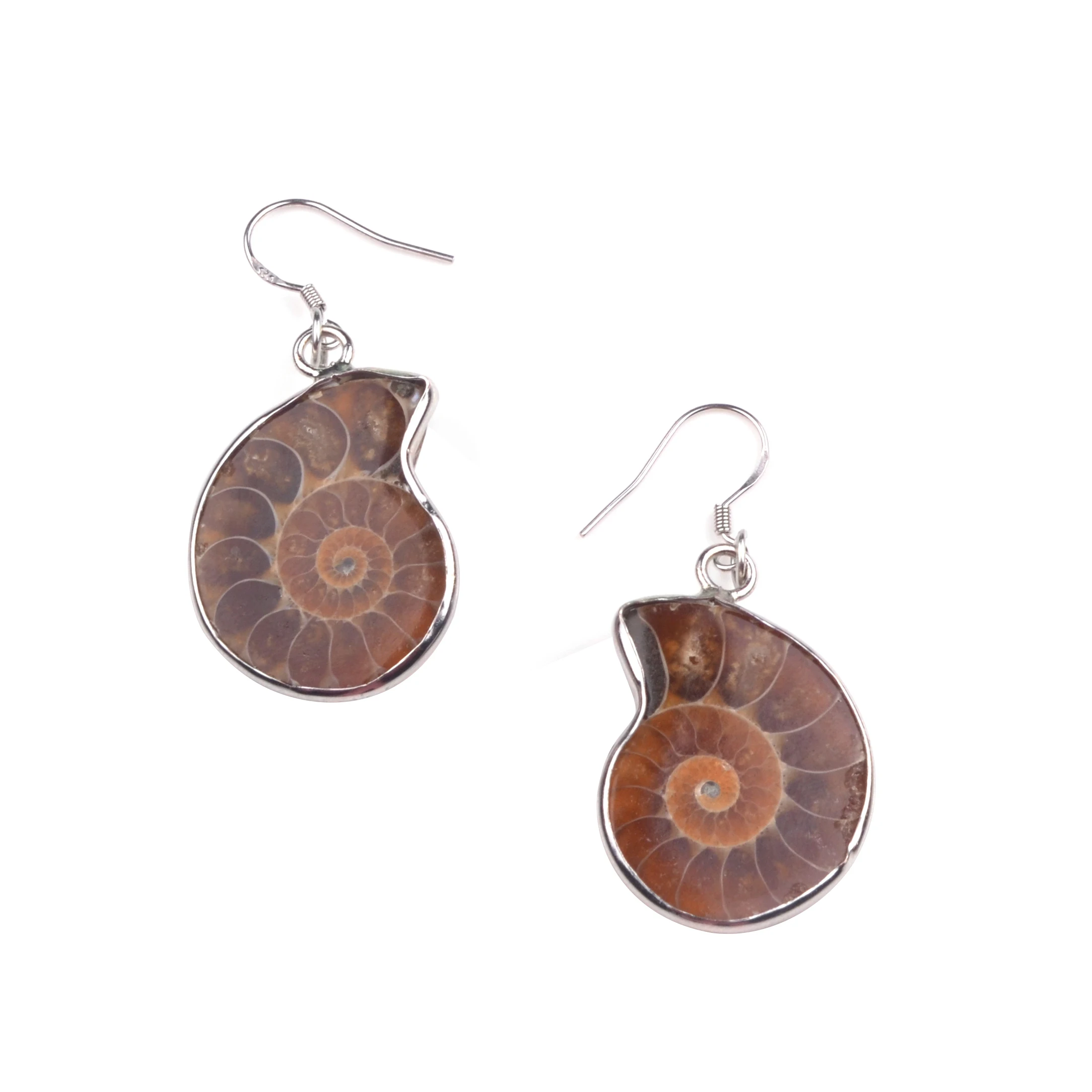 Charm Handmade Natural Conch Ammonite Silver Wrapped Pendant Shell Earrings for Women
Charm Handmade Natural Conch Ammonite Silver Wrapped Pendant Shell Earrings for Women