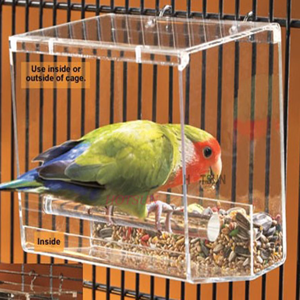 automatic wild bird feeder
