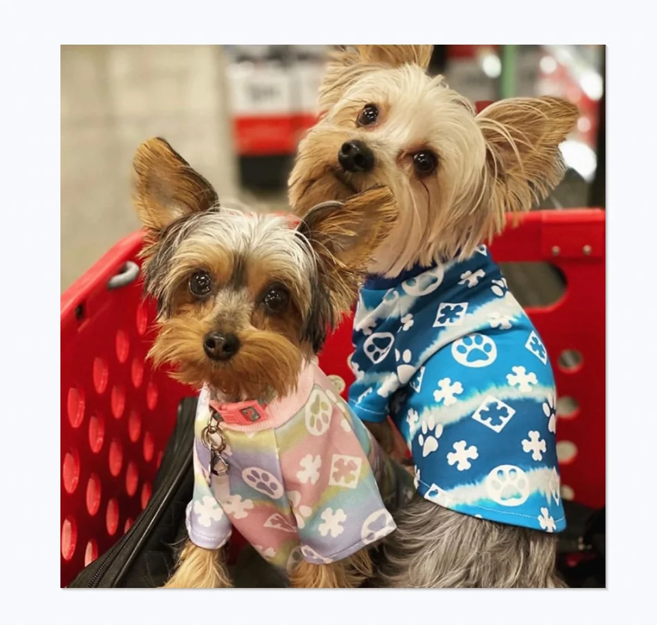 Street Fashion Design Cute Dog Paw Design And Correct Spelling Design Brand Pet Clothes Luxury Big Dog T-shirt
Street Fashion Design Cute Dog Paw Design And Correct Spelling Design Brand Pet Clothes Luxury Big Dog T-shirt