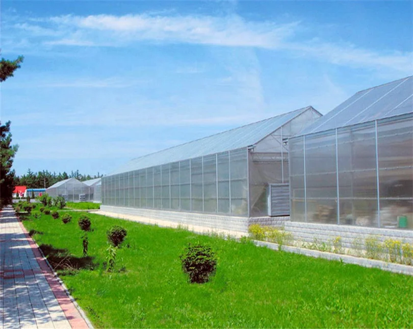 Poly tunnel single span commercial greenhouses for sale