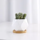Wholesale geometric design white small cute succulent pots ceramic pots for succulent plants