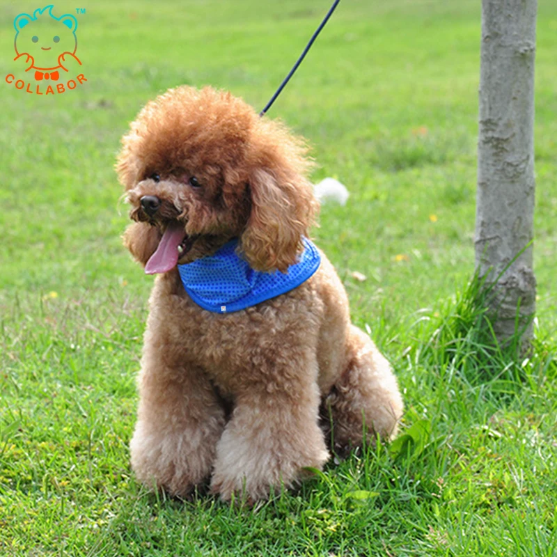 COLLABOR Wholesale Summer Pet Dog Cooling Coat Vest Biodegradable PVA Dog Cooling Vest Jacket Coat, Solid, digital print
COLLABOR Wholesale Summer Pet Dog Cooling Coat Vest Biodegradable PVA Dog Cooling Vest Jacket Coat, Solid, digital print