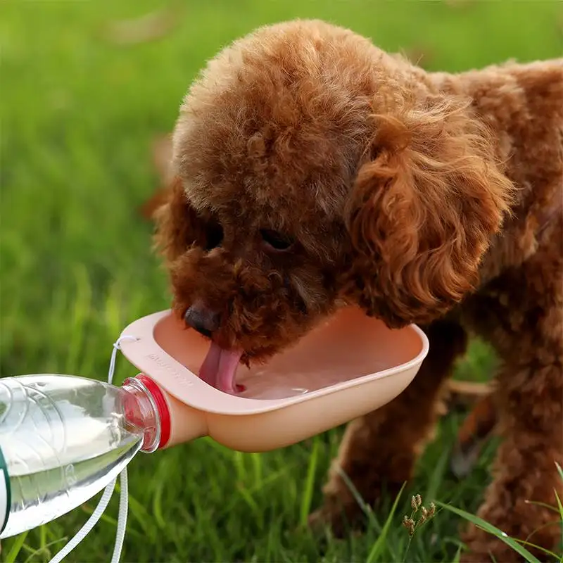 Dog Travel Water Bottle Portable Pet Water Bottle Drinking Water Feeder for Cat Outdoor Bowl Bottle Pet Supplies
Dog Travel Water Bottle Portable Pet Water Bottle Drinking Water Feeder for Cat Outdoor Bowl Bottle Pet Supplies