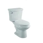 floor standing one piece closestool and toilet with watermark