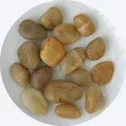 competitive price of black/white/multicolor/tiger skin river stone pebbles,cobble stone pebbles