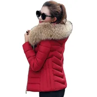 Female Coat Autumn With Fur Collar Hooded Cotton Padded Winter Jacket Women Short Outwear Basic Jacket
Female Coat Autumn With Fur Collar Hooded Cotton Padded Winter Jacket Women Short Outwear Basic Jacket