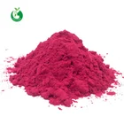 Natural Food Pigment Betanin Beet Root Powder