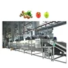 /product-detail/china-professional-industrial-hot-air-dryer-dehydrator-grape-drying-machine-food-60410487701.html