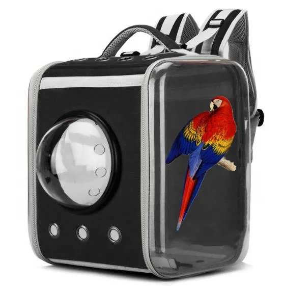 2020 New Bird Carrier Backpack With Perch Big Parrot Travel Transparent Bag Bird Accessories Collapsible From Anhuibags, 4 colors
2020 New Bird Carrier Backpack With Perch Big Parrot Travel Transparent Bag Bird Accessories Collapsible From Anhuibags, 4 colors