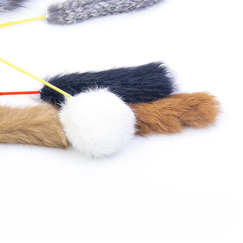 New Arrivals Pet Toys Accessories Plastic Dog Soft Toy Plastic Toy Stick, As picture
New Arrivals Pet Toys Accessories Plastic Dog Soft Toy Plastic Toy Stick, As picture