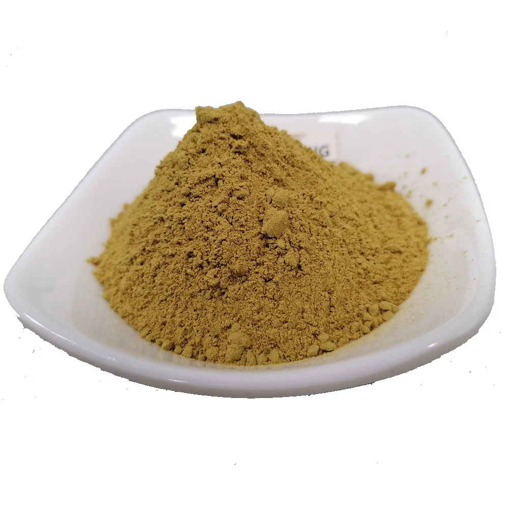 Factory Supply Wholesale Private Label Bulk Organic Yerba Mate Extract Powder