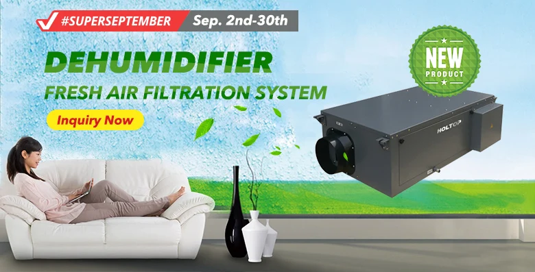 Mounted Fresh Air Dehumidifier, 20L/D, Ceiling - detail 2