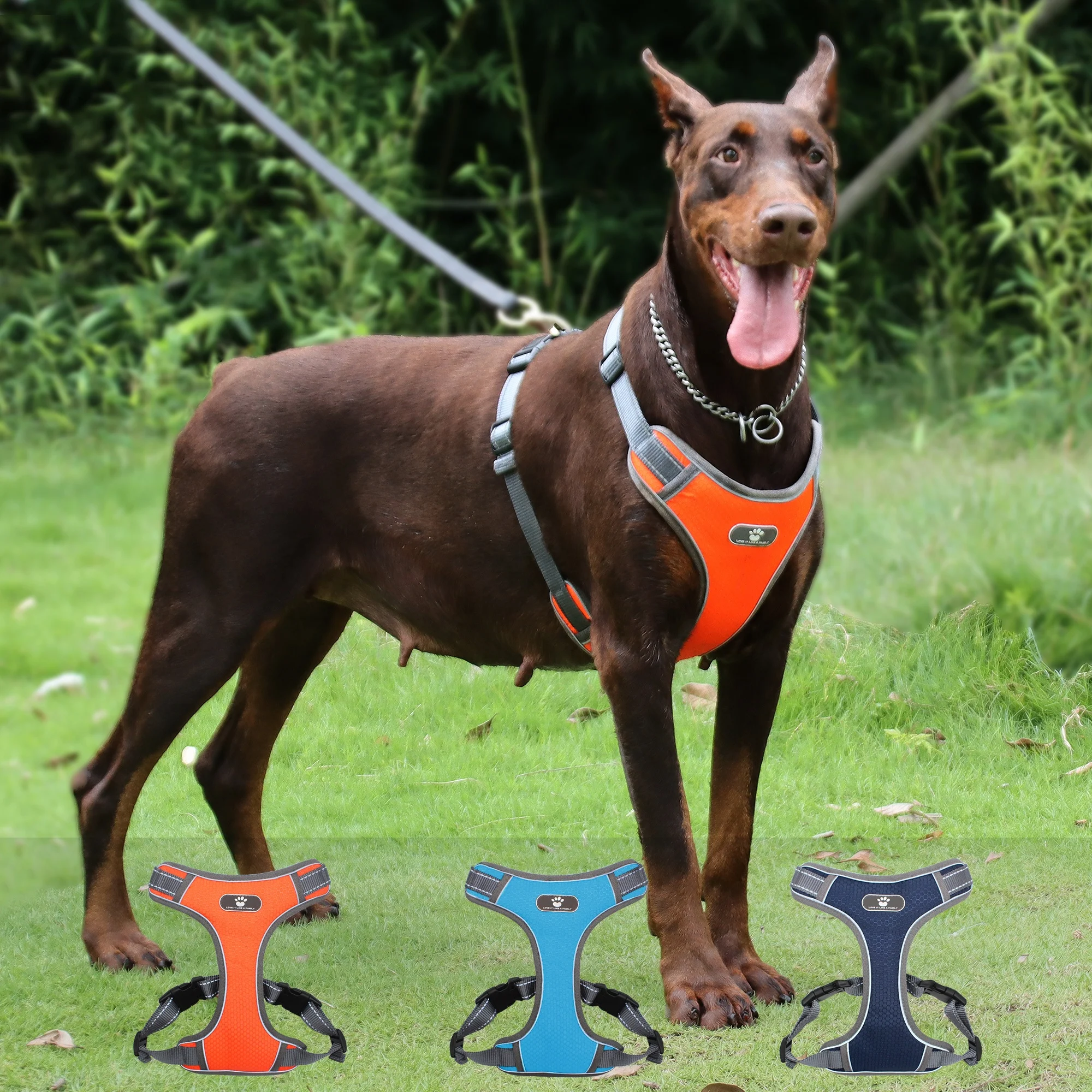 Big Dog Harness No Pull Pet Reflective Oxford Vest Soft Breathable Mesh Padded No Pull Dog Harness for Small Medium Large Dogs
Big Dog Harness No Pull Pet Reflective Oxford Vest Soft Breathable Mesh Padded No Pull Dog Harness for Small Medium Large Dogs