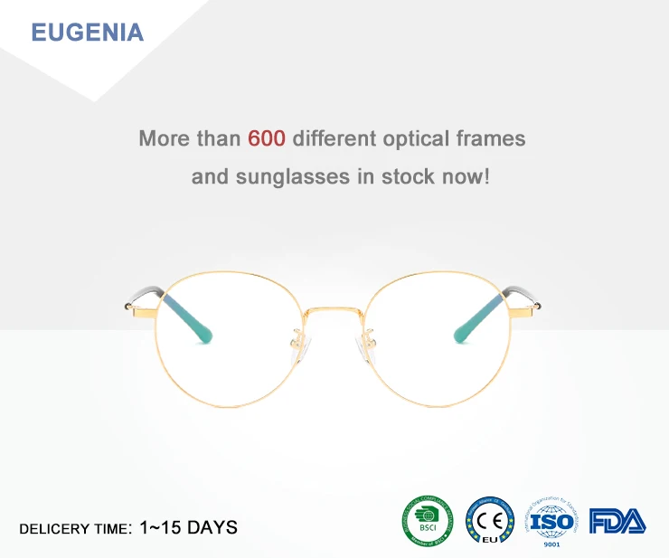 EUGENIA OEM Design Fashion Plastic Women Round Stainless Eyeglasses Optical Frames