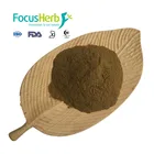 Health Product Alma P.E. Amla Extract Powder. Amla Extract