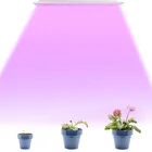 Home Hanging Uv Bloom Flowering Growth SMD Led Plant 50Watt Garden Grow Lights